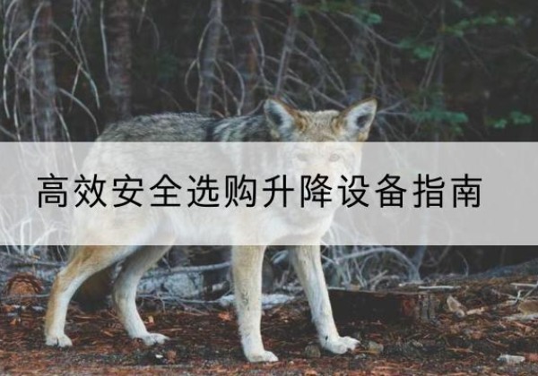 海北升降货梯厂家推荐-*安全选购升降设备指南
