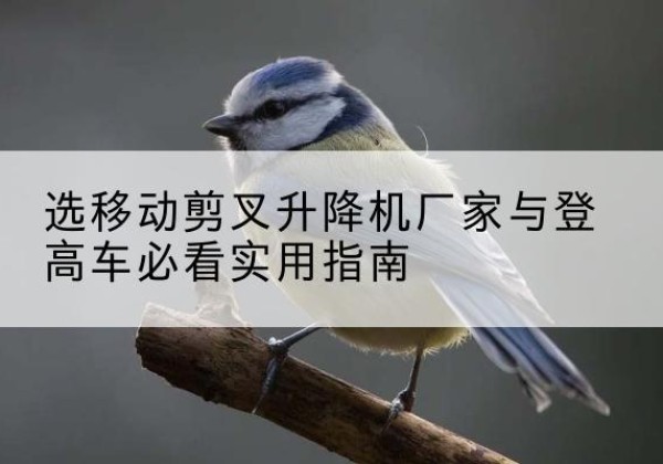 海北电动升降机厂家-选移动剪叉升降机厂家与登高车必看实用指南