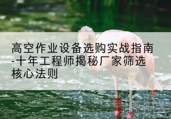 海北剪叉式升降机厂家-高空作业设备选购实战指南-十年工程师揭秘厂家筛选核心法则